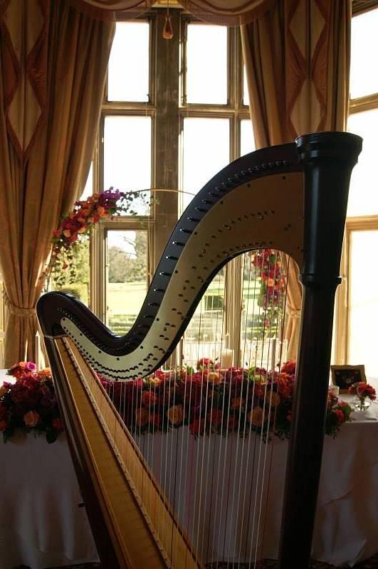 Bethan (Harpist): Popular Harpist Available To Hire For Weddings And Events